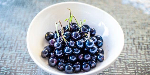 Close up of glistening black currants in a white bowl on a glass table.