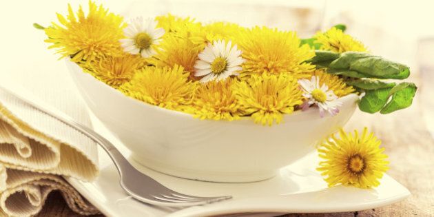 dandelion blossoms in a bowl - like a light salad