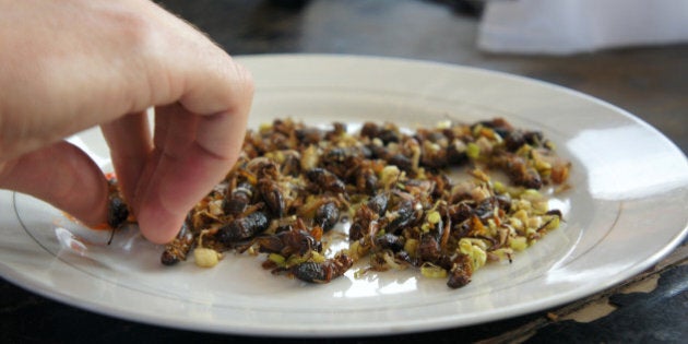 A tourist about to eat a plate full of fried crickets flavoured with lemon grassDalat,Vietnam