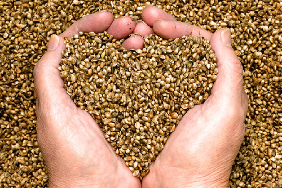 Hemp Seeds