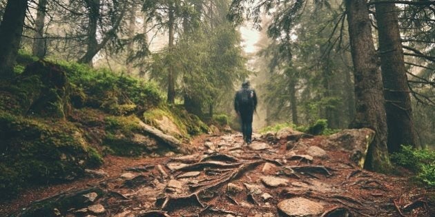 Traveler hiking through deep forest in the mountains