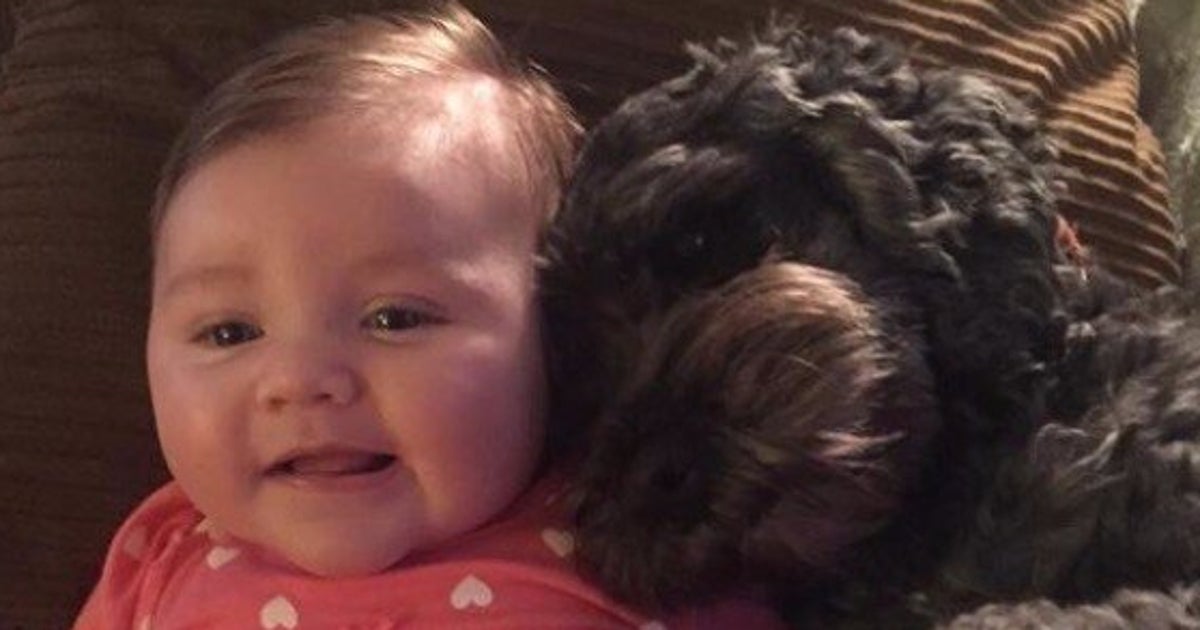 Family Dog Dead After Saving Baby From House Fire | HuffPost Parents