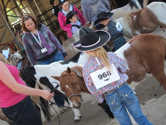 Stephen Harper dons his cowboy hat at the Calgary Stampede