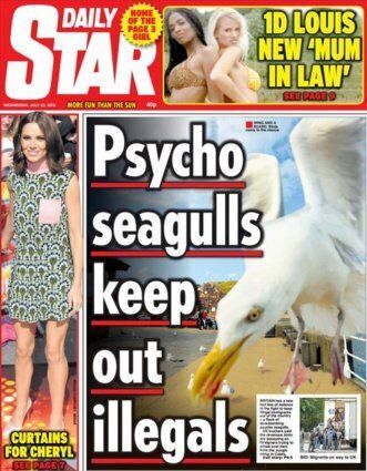 Daily Star: 'Psycho Seagulls Keep Out Illegals'