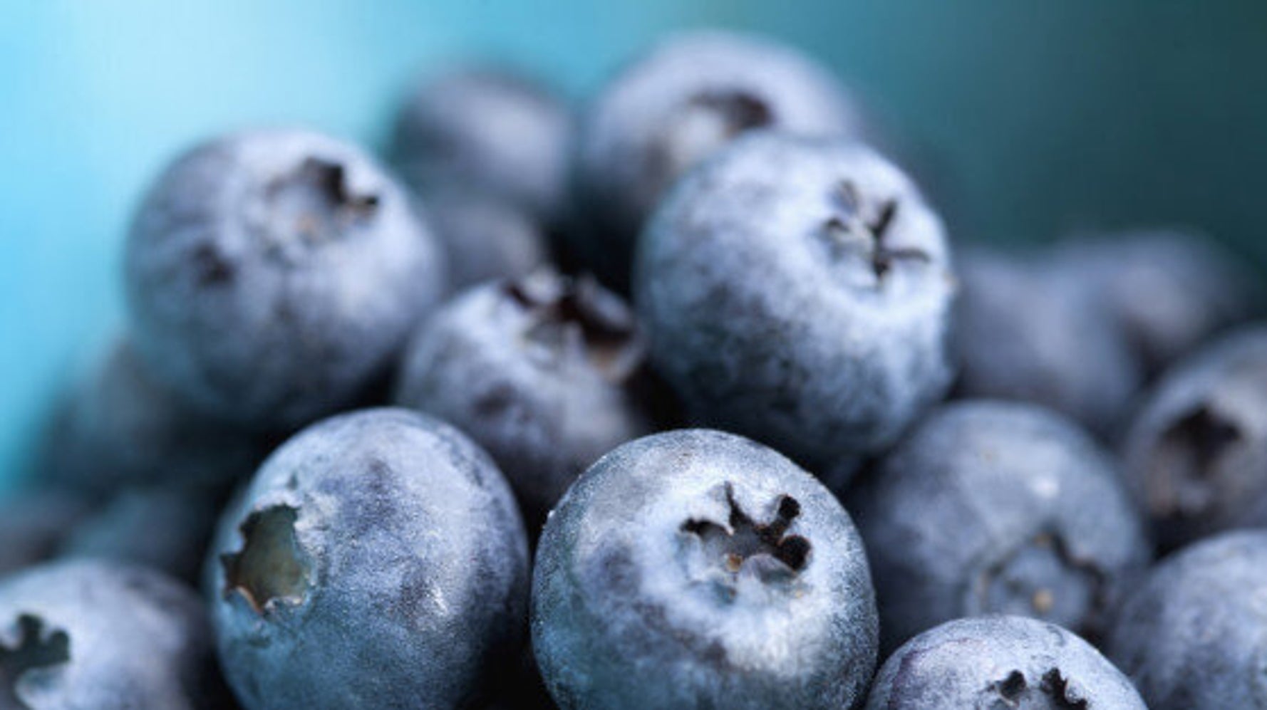 Blueberries Might Prevent Alzheimer's HuffPost Canada Life