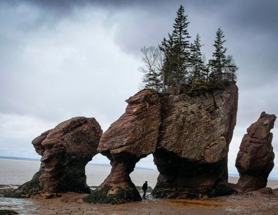 Hopewell Rocks Provincial Park