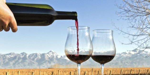 Forefront of a glasses and bottle of red wine, as a background, the vineyard and the Andes. Mendoza, Argentina.