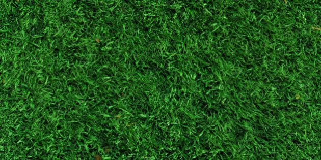 Fake Grass used on sports fields