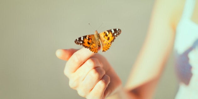 Beautiful butterfly sitting on the girl hand