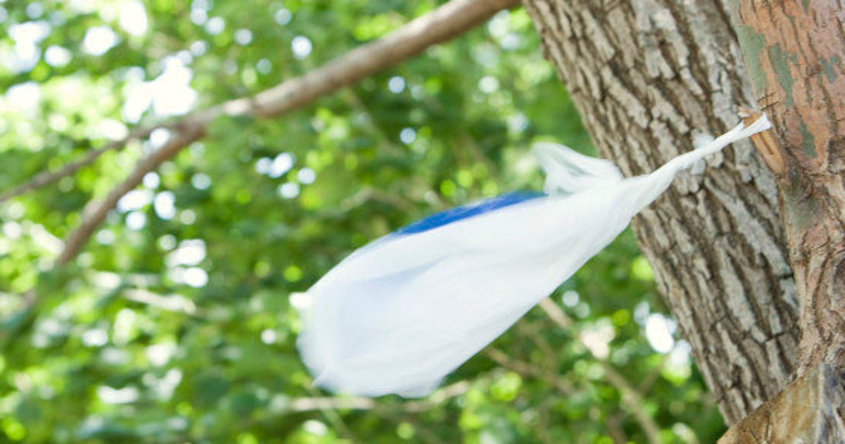 Edmonton Plastic Bag Ban To Be Considered By City Council Again