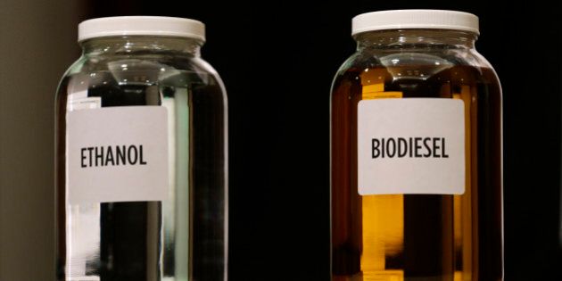 Jars of ethanol and biodiesel fuel sit on display during the Iowa Renewable Fuels Association meeting, Tuesday, Jan. 28, 2014, in Altoona, Iowa. (AP Photo/Charlie Neibergall)