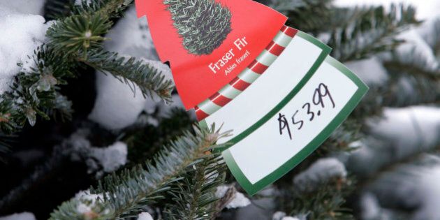 A price tag on a Fraser Fir Christmas tree is seen on a Canadian-grown tree for sale at Broadway Gardens, Tuesday, Dec. 4, 2007, in South Portland, Maine. Canadian tree growers who sell to the U.S. are seeing their revenues drop as the Canadian dollar's value soars. (AP Photo/Robert F. Bukaty)