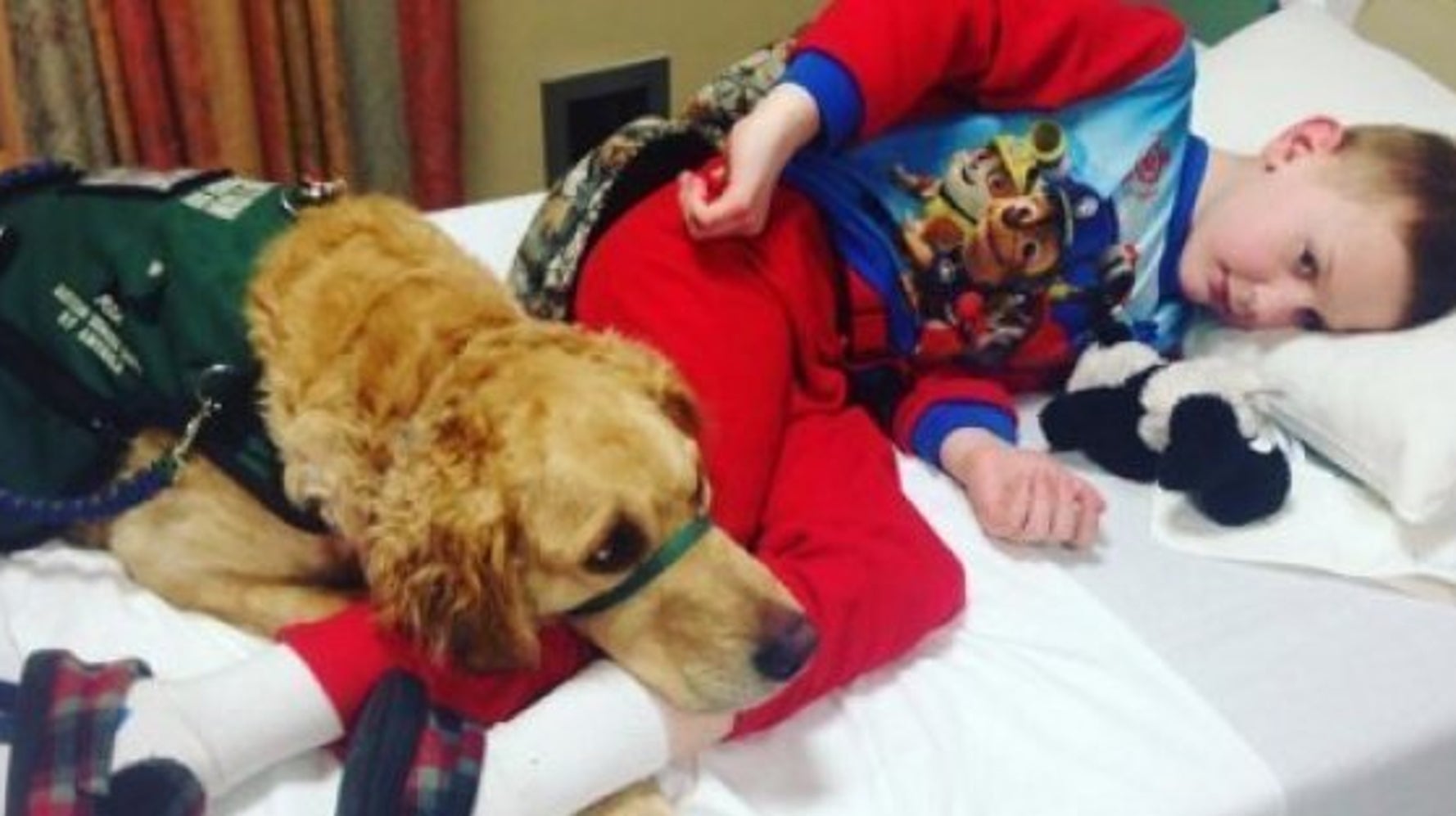 Autism Service Dogs And Their MiniHumans Will Win Your Heart