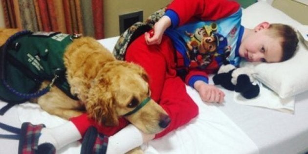 autism therapy dogs