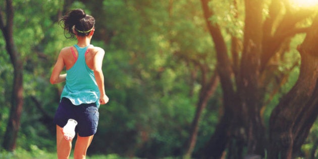 Runner athlete running on forest trail. woman fitness jogging workout wellness concept.