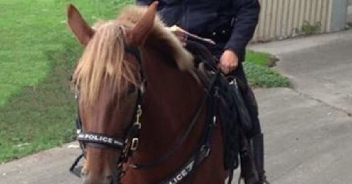 Police Horse Dies In Arms Of Officer | HuffPost Life