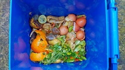 What We Can Do About Canada's Food Waste