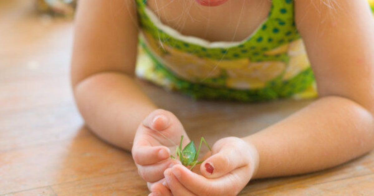 Summer Hacks DIY Insect Repellent To Keep Your Home Bug Free