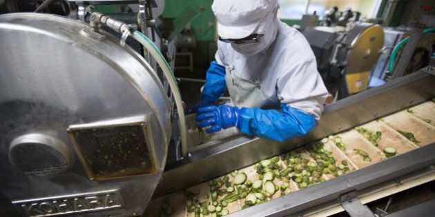 A worker checks the chopped up rhizomes of wasabi plants on the production line of the Marui Co. factory in Azumino, Nagano Prefecture, Japan, on Tuesday, May 24, 2016. Japan's economy grew slightly more than the government initially reported for the first quarter, helped by a fractional revision in private consumption and business investment that dropped less than first thought. Photographer: Tomohiro Ohsumi/Bloomberg via Getty Images