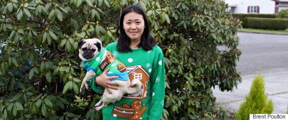 ugly christmas sweater for dogs canada