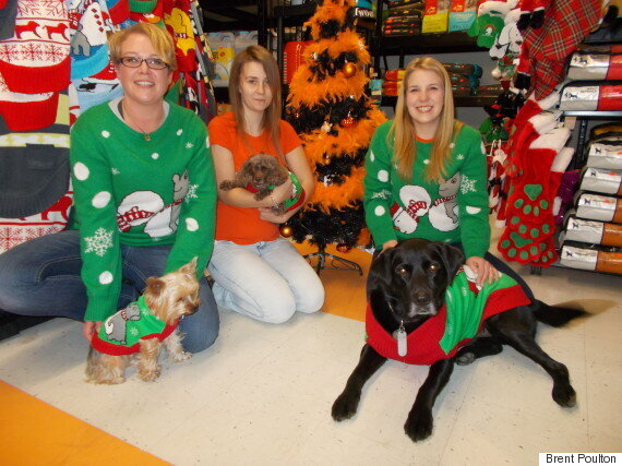 dog and owner christmas sweater