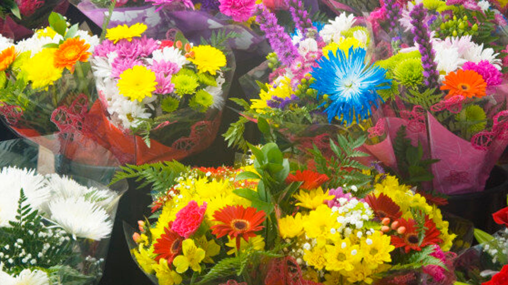 Where To Get Beautiful Flowers In Ottawa For Valentine's Day And Beyond