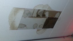 Ontario Schools Are Literally Falling Apart