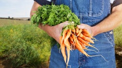 Local Isn't Better When It Comes To How Your Food Is