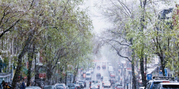 Snowstorm, Saint-Denis street, Montreal, Quebec