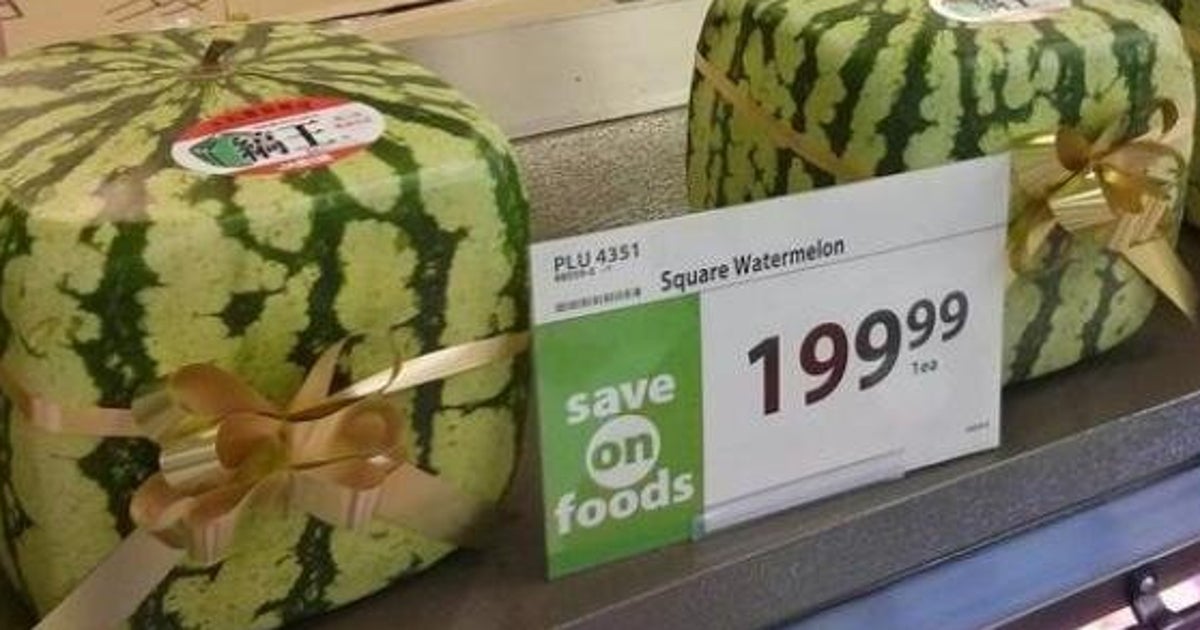 Square Watermelons Now Available In Alberta HuffPost Canada