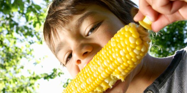 A boy enjoying corn on the cob outside in the summer sunshine.