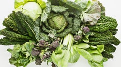 How I Thrive on a Plant-Based
