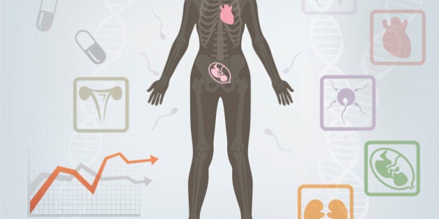 Diagram illustration about structure of the human body