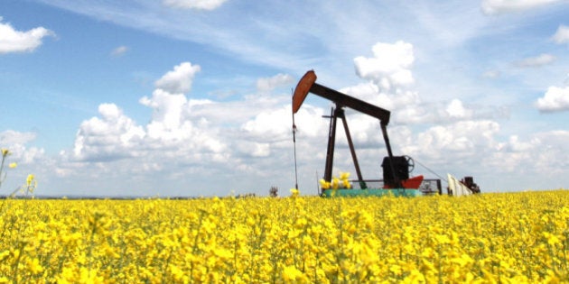 A pumpjack in a canola field. The oil industry is a major economic force in Alberta. This oil rig is located in an oil field near Calgary. Drilling rigs first drill a well and then the pumpjack is situated over the well, or borehole. Crude oil is then shipped via rail or pipeline. The Keystone pipeline will deliver oil through the United States from the oil sands in Northern Alberta.