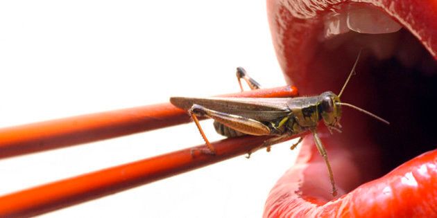 'a wacky take on sushi, red lips getting ready to eat a live grasshopper with chopsticks'