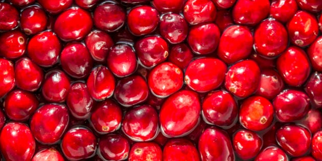 I take a variation of this picture probably every year, since I am always delighted by the look and feel of fresh cranberries floating in their bath.