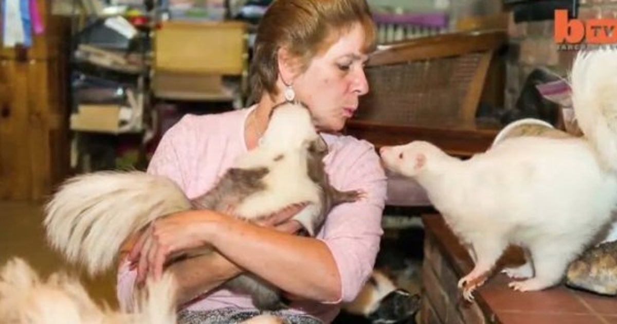 Woman Keeps 50 Skunks In Her Home (VIDEO) | HuffPost Life