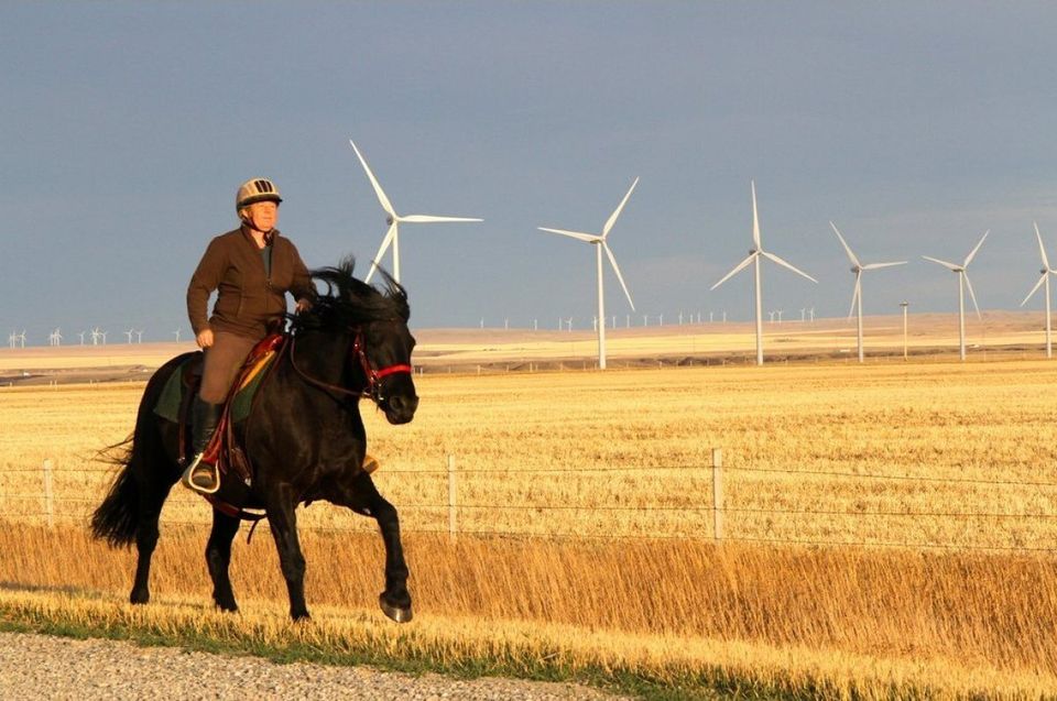 Horse farmer/wind advocate