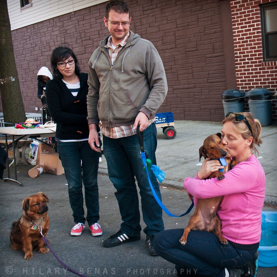 One-eyed Dachshund Hugs Rescuer