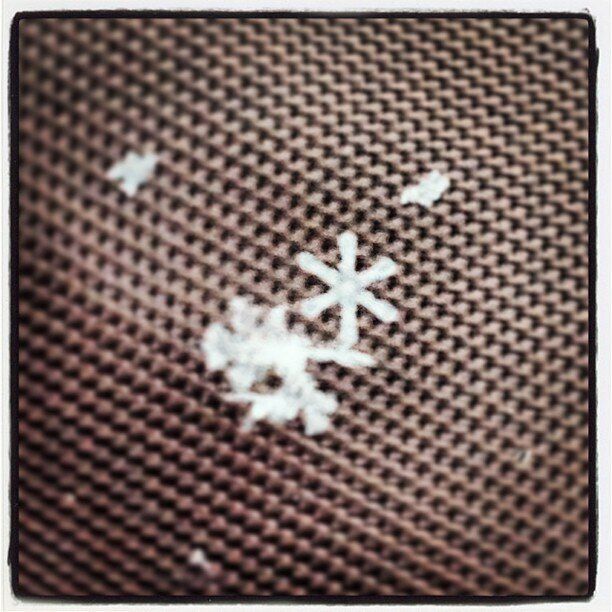 #beautiful #snowflake #yyc