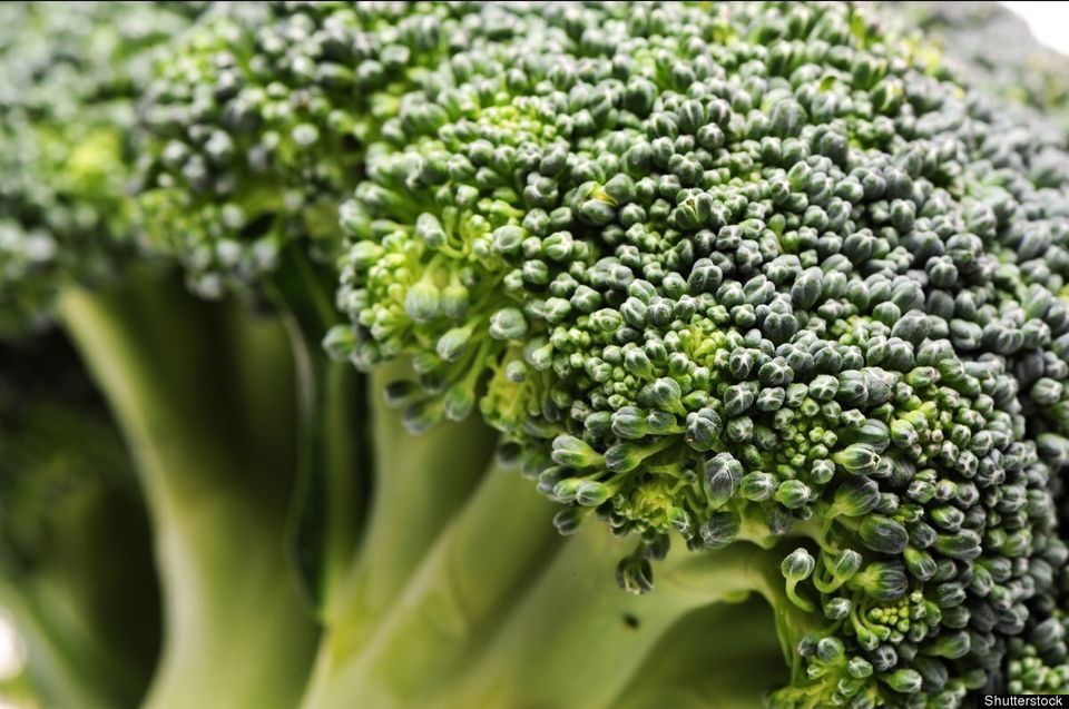 Broccoli For Cancer Protection