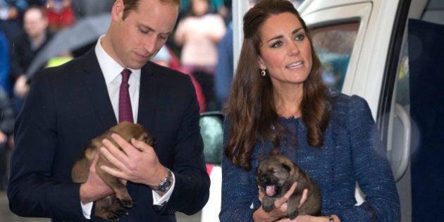 WELLINGTON, NEW ZEALAND - APRIL 16: Prince William, Duke of Cambridge and Catherine, Duchess of Cambridge hold puppies during a visit to the Royal New Zealand Police College on April 16, 2014 in Wellington, New Zealand. The Duke and Duchess of Cambridge are on a three-week tour of Australia and New Zealand, the first official trip overseas with their son, Prince George of Cambridge. (Photo by Mark Mitchell - Pool/Getty Images)