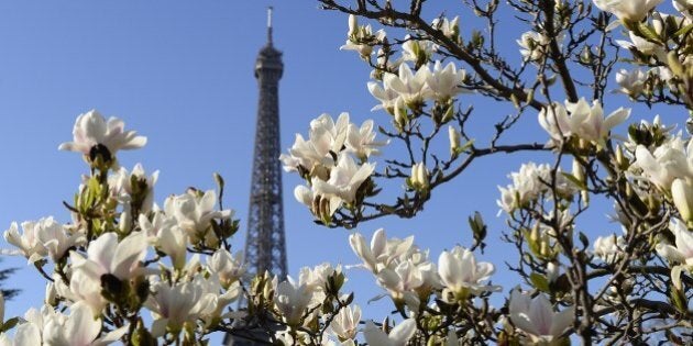 Flowers blossom near the Eiffel Tower in Paris on March 9, 2014. AFP PHOTO/ ALAIN JOCARD (Photo credit should read ALAIN JOCARD/AFP/Getty Images)