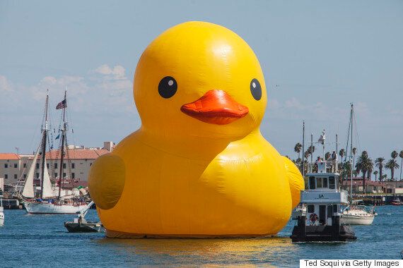 Canada Gets Giant Rubber Duck For Its Birthday Because A Loon Is Too Damn  Expensive
