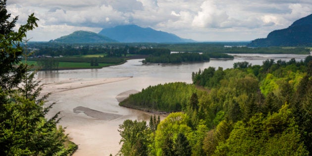 The Frazier River is an important salmon habitat for the lower mainland of British Columbia. A lovely scenic river.