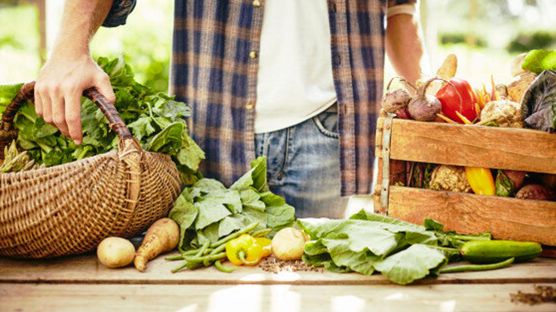 Vegetable Garden 101 How To Have A Plentiful Harvest Huffpost Canada Life