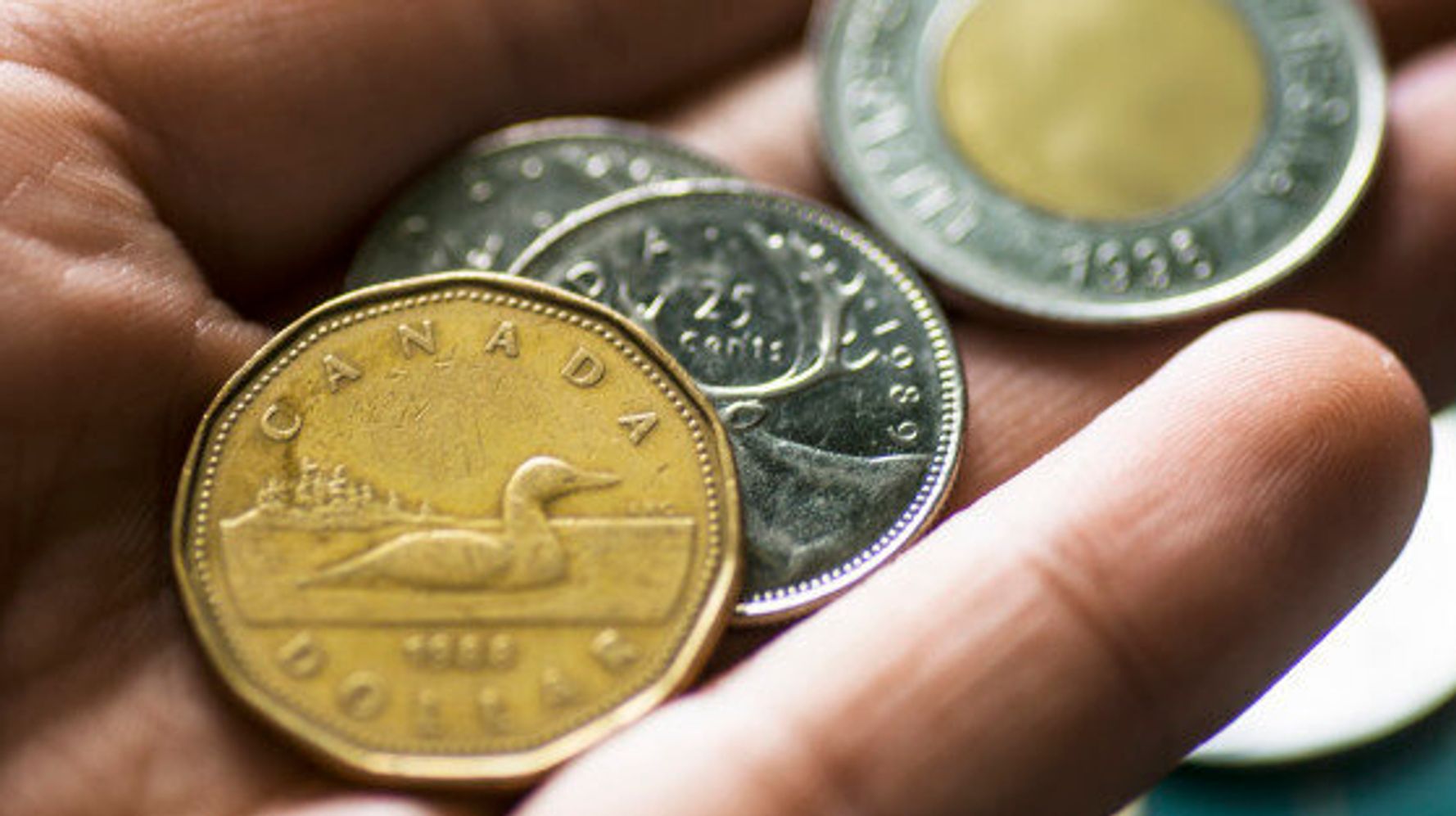 How Many Loonies Are in a Roll in Canada? - My Rate Compass