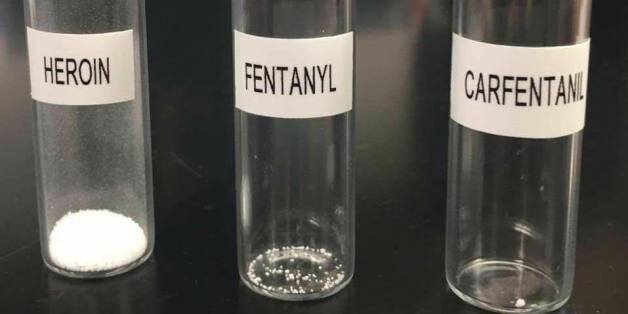 P.E.I. Police Photo Shows Just How Little Fentanyl And Carfentanil It ...