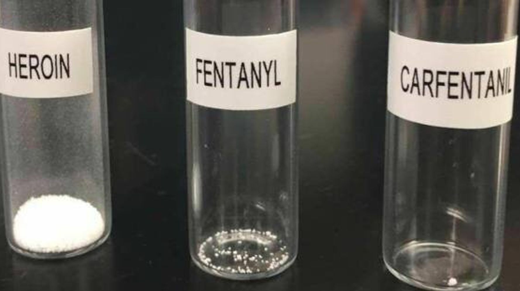 Think fentanyl's danger is exaggerated? P.E.I. police photo shows otherwise