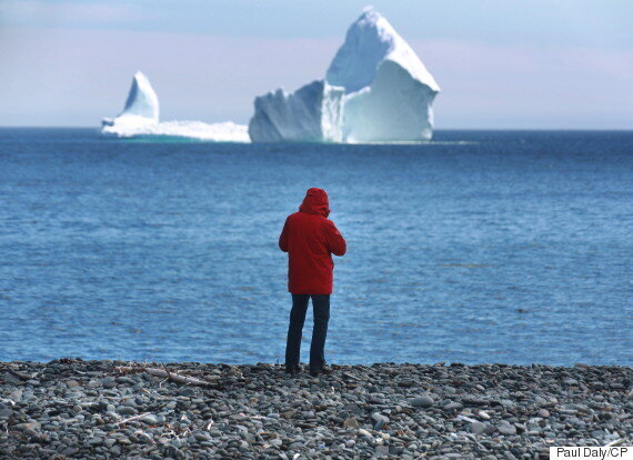 Iceberg Alley Is Spectacular This Year For A Sad Reason HuffPost Canada   5cd70f47240000310077acd9 